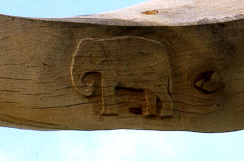 Torque detail, Elephant 